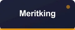 Meritking bonus kartı