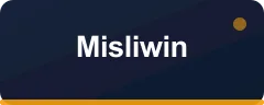 Misliwin bonus kartı