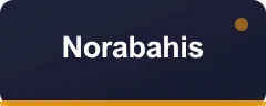 Norabahis bonus kartı
