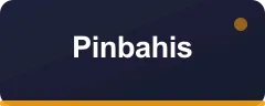 Pinbahis bonus kartı