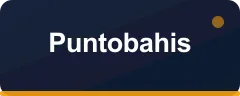 Puntobahis bonus kartı